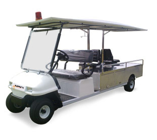 Buggy For medical use
